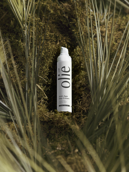 Anti-Age Day Cream